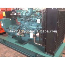 250kw/312.5kva Diesel Generator Get Powered by Cummins Engine (QSM11-G2)